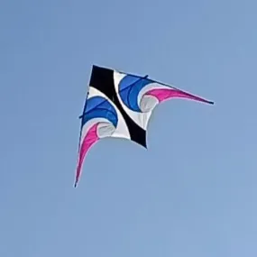 11.5 Delta Kite - Waverider